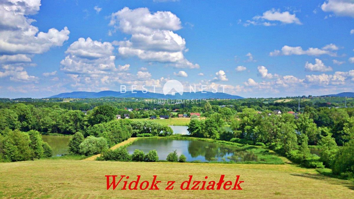Działka rolna Międzyrzecze Dolne. Zdjęcie 2