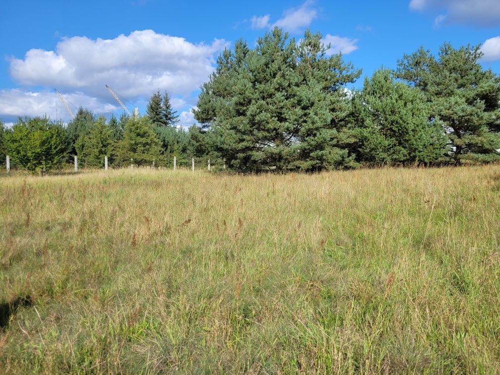 Działka rolna Chociwel. Zdjęcie 2
