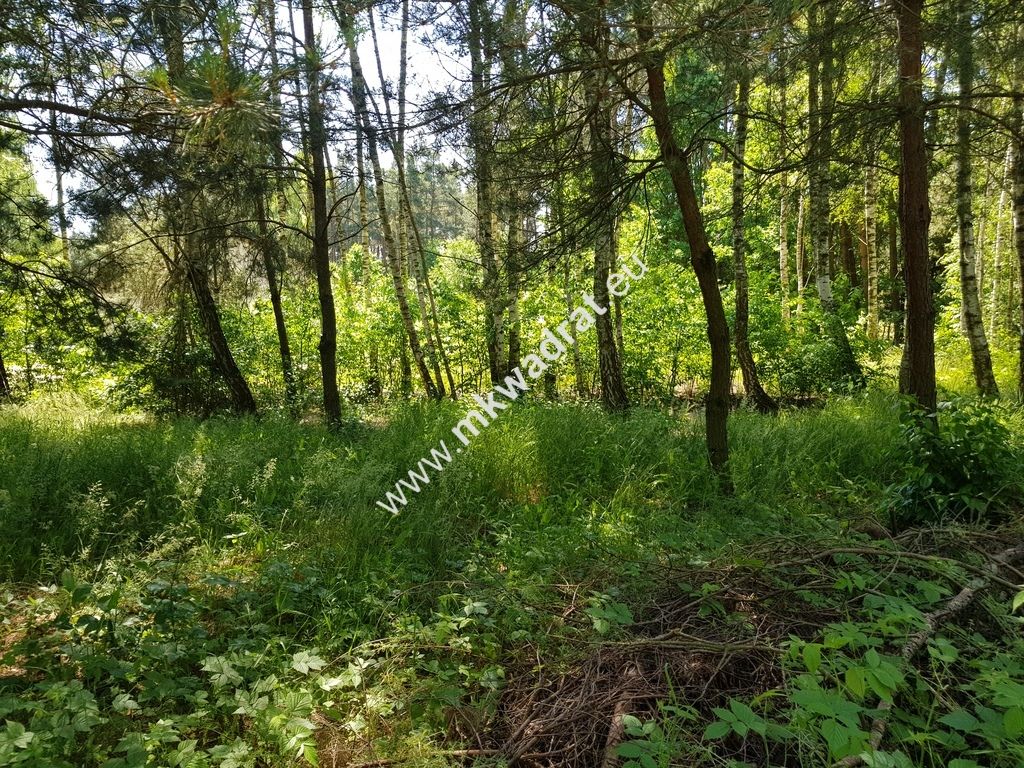 Działka budowlana Kuklówka Radziejowicka, www.mkwadrat.eu. Zdjęcie 4