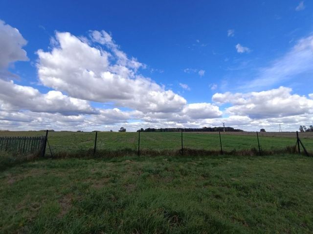 Działka rekreacyjna Sycyna Północna. Zdjęcie 1