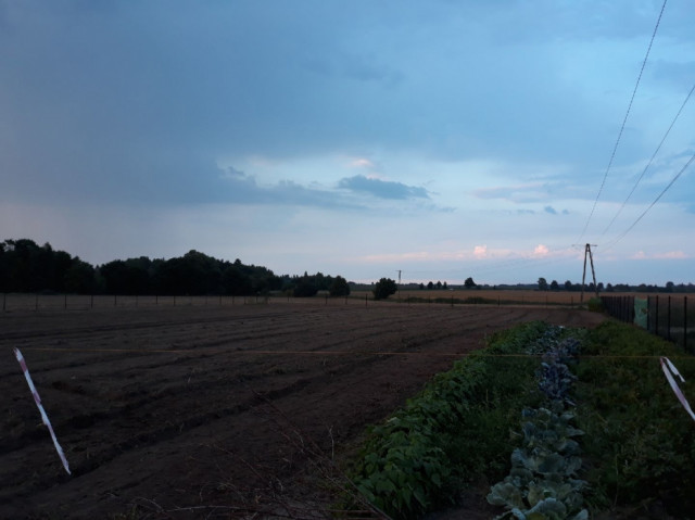 Działka rolna Wiśniewka. Zdjęcie 1