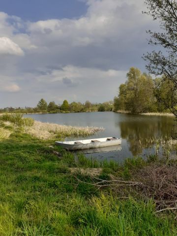 Działka rolna Grobelno. Zdjęcie 1