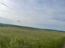 Działka rolno-budowlana Zabijak. Zdjęcie 3