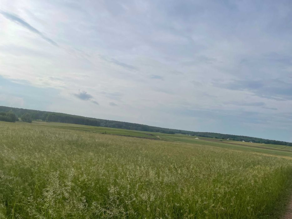 Działka rolno-budowlana Zabijak. Zdjęcie 4