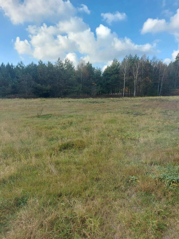 Działka inna Chotowa. Zdjęcie 3