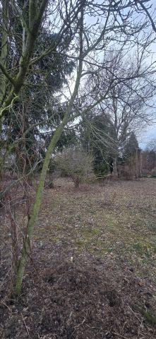 Działka rod Wrocław Grabiszyn. Zdjęcie 1