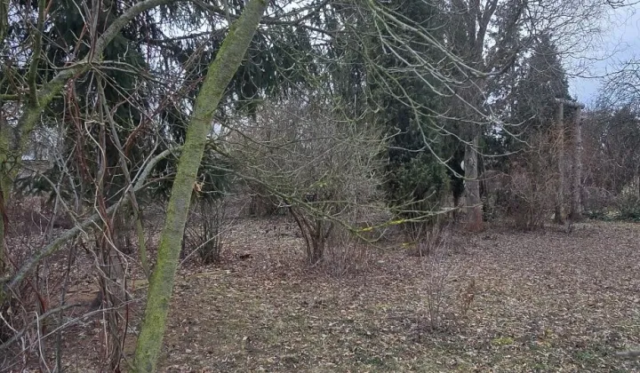 Działka rod Wrocław Grabiszyn