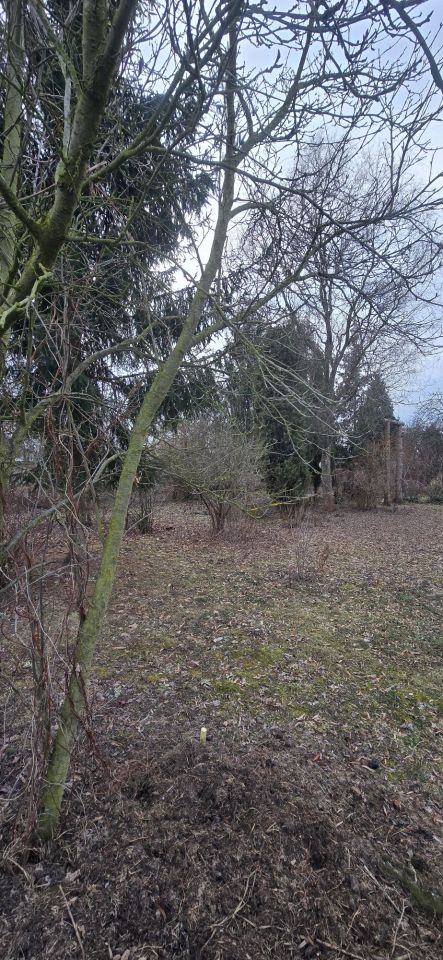 Działka rod Wrocław Grabiszyn. Zdjęcie 1