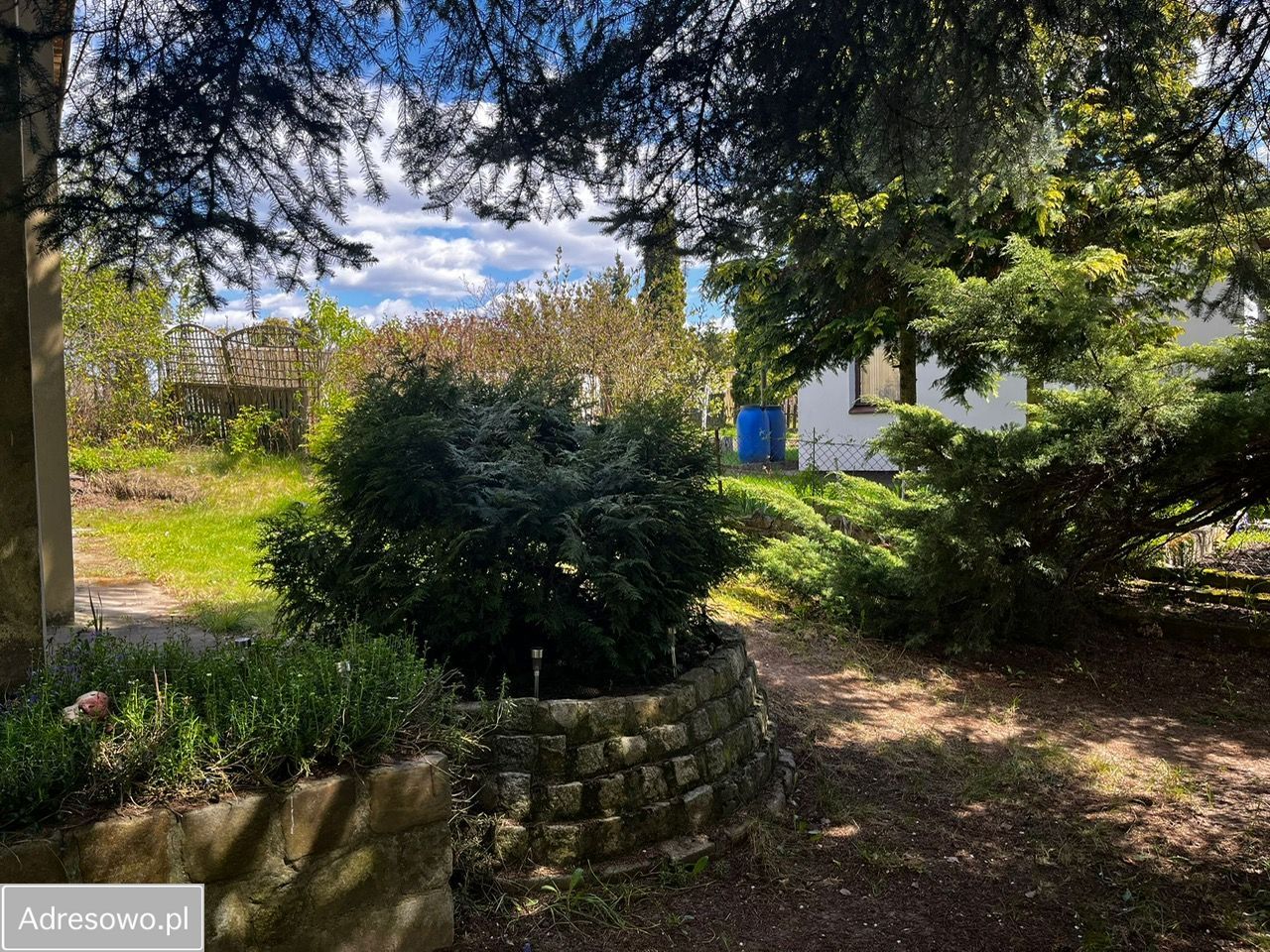 Działka rod Suchy Las. Zdjęcie 4