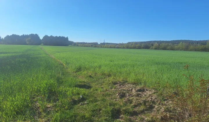 Działka budowlana Serock, ul. Nasielska