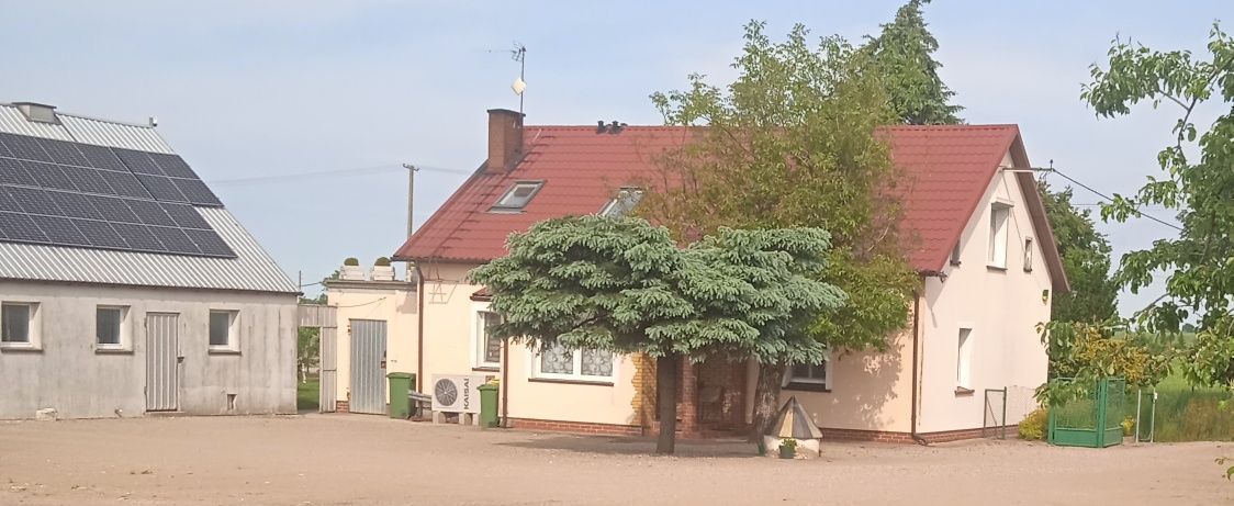 dom wolnostojący Buczek