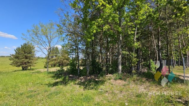 Działka Prawdowo. Zdjęcie 8