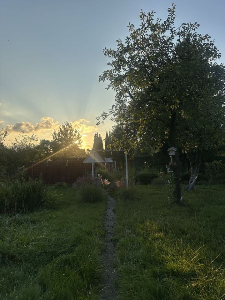 Działka rod Bytom. Zdjęcie 4