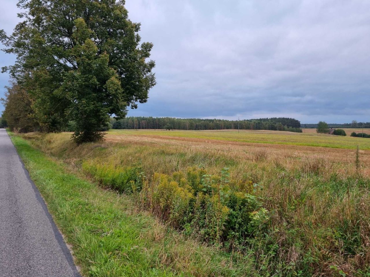 Działka budowlana Brokowo. Zdjęcie 4