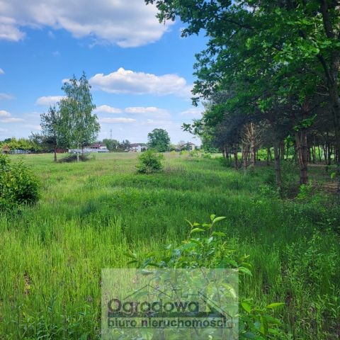 Działka budowlana Nieporęt. Zdjęcie 1