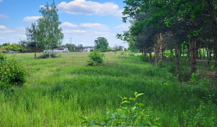 Działka budowlana Nieporęt