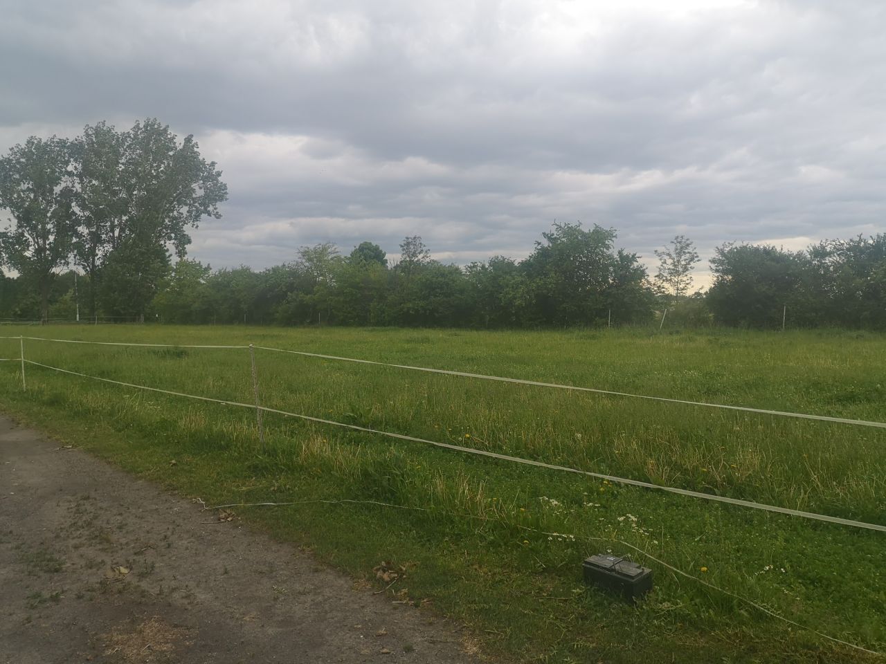 Działka rolna Czyżowice. Zdjęcie 7