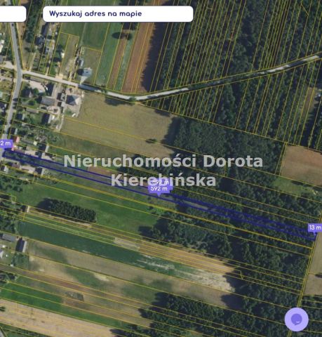 Działka siedliskowa Bukowiec nad Pilicą. Zdjęcie 5