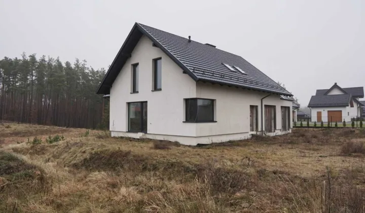 dom wolnostojący Borucino