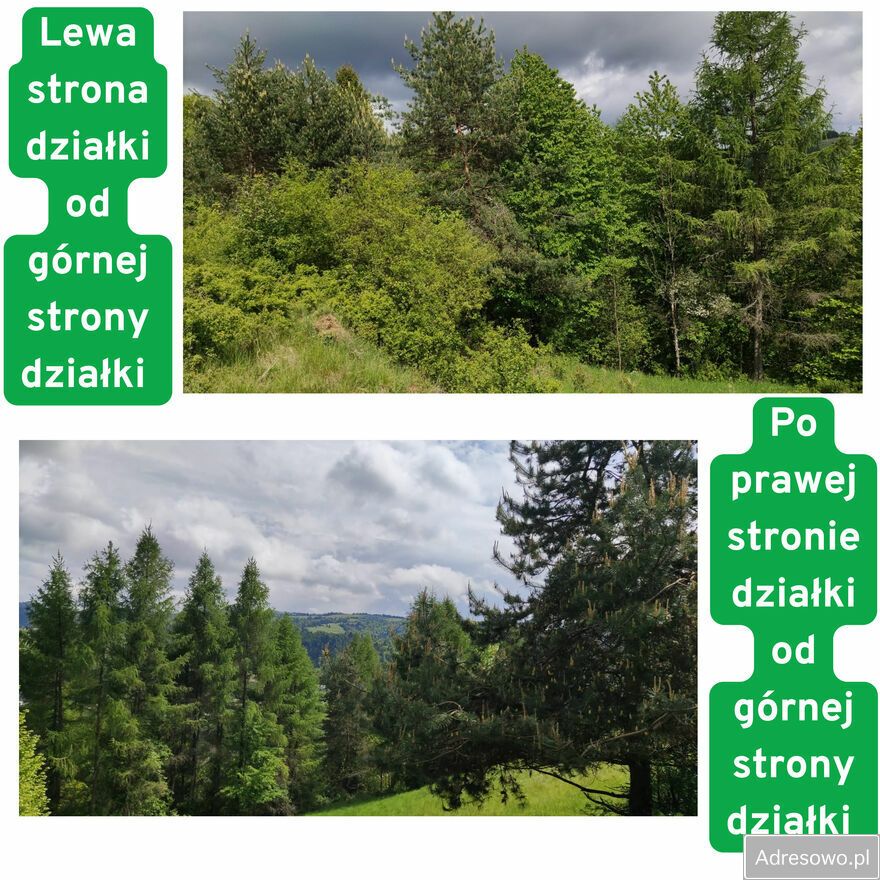 Działka rolna Szlachtowa. Zdjęcie 7