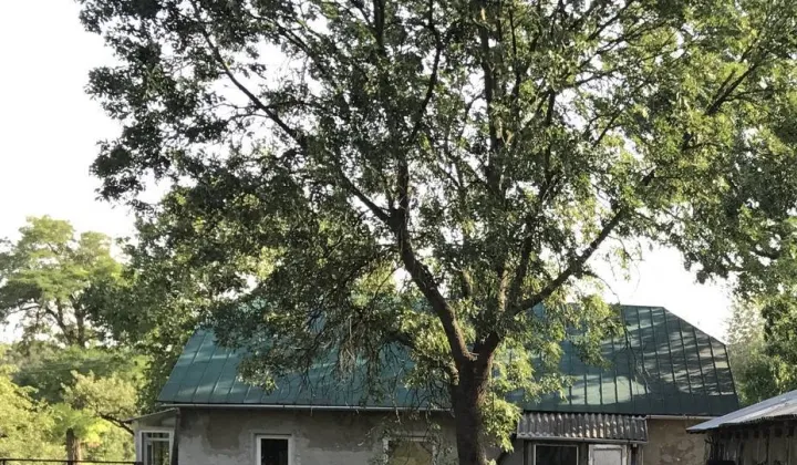 dom wolnostojący, 4 pokoje Łany