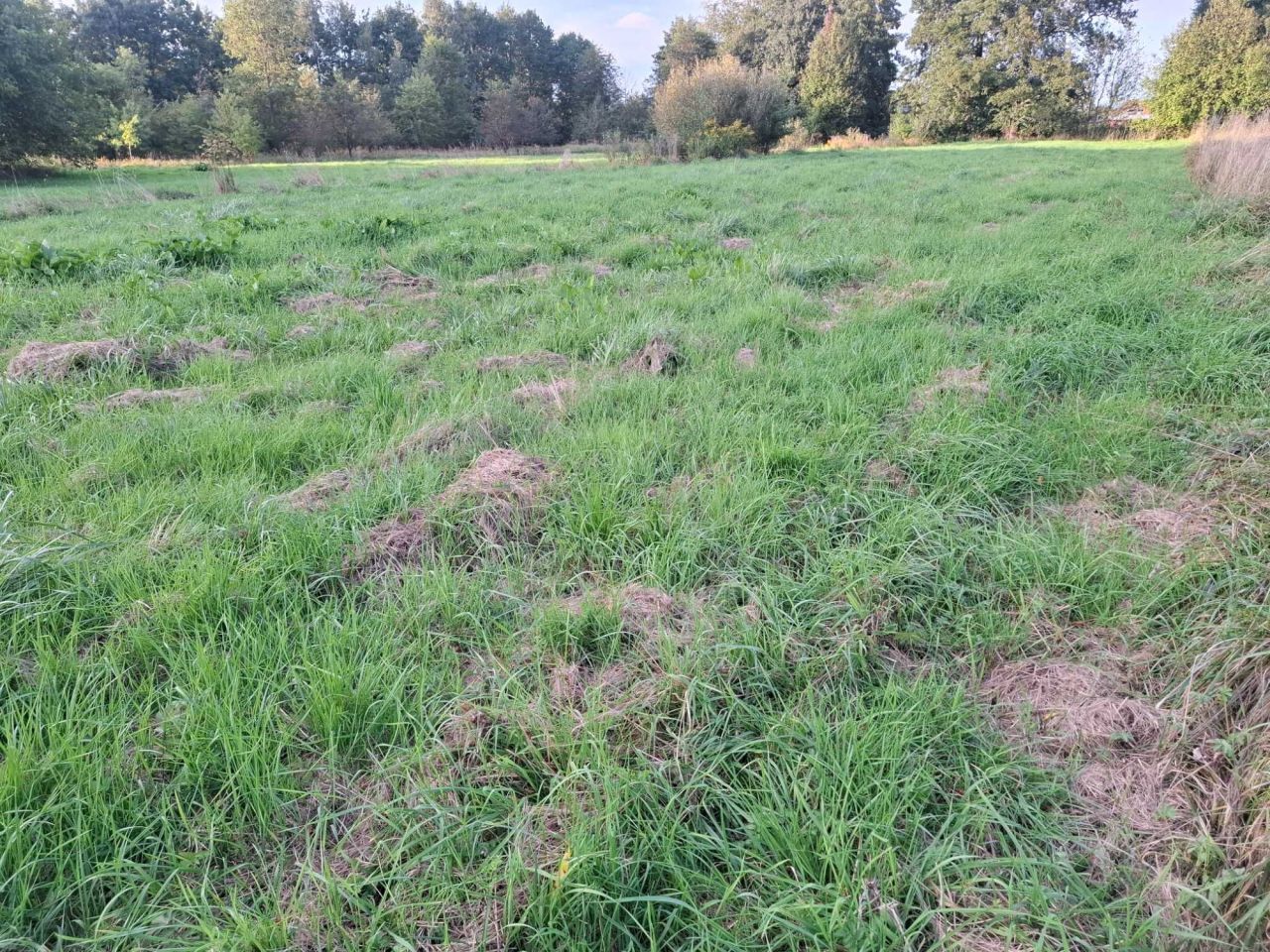 dom wolnostojący, 3 pokoje Bartniki. Zdjęcie 7