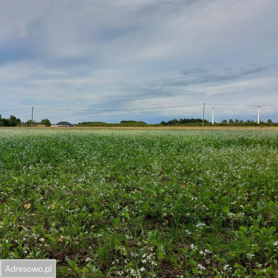 Działka rolno-budowlana Budy Dłutowskie. Zdjęcie 5