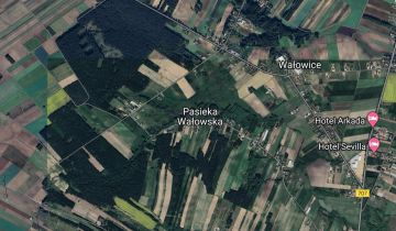 Działka rolno-budowlana Pasieka Wałowska