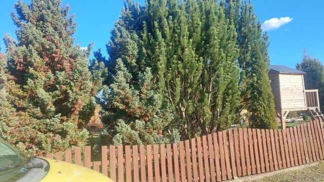 Działka rekreacyjna Białystok Wygoda, ul. 42 Pułku Piechoty. Zdjęcie 1