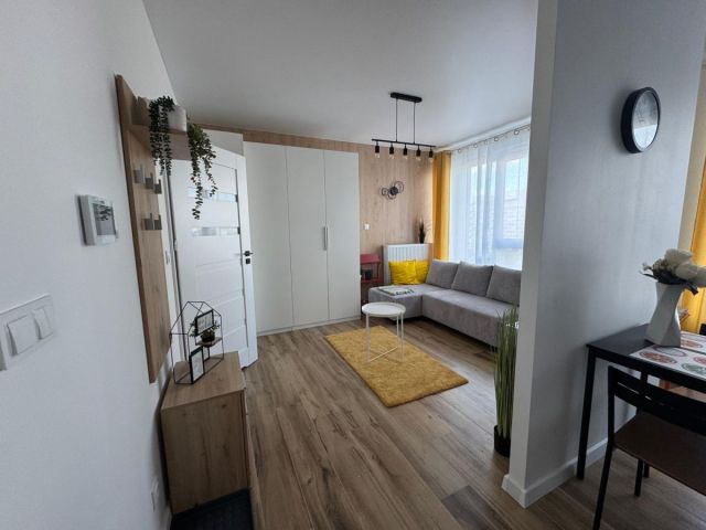 Mieszkanie 1-pokojowe Łódź Śródmieście, ul. Piotrkowska. Zdjęcie 5