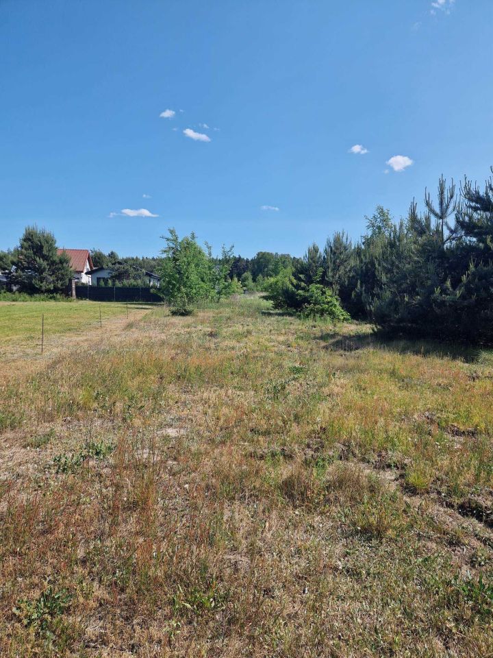 Działka budowlana Wojciechowice, ul. Lipowa. Zdjęcie 6