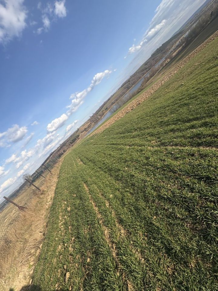 Działka rolno-budowlana Zbrza. Zdjęcie 6