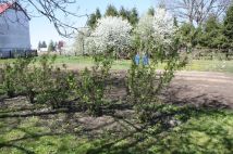 Działka inwestycyjna Jarosław, ul. 3 Maja. Zdjęcie 2