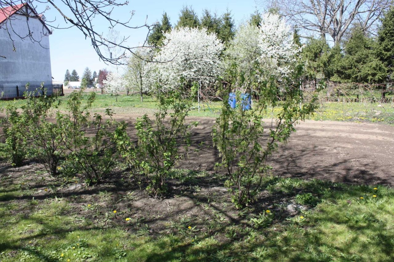 Działka inwestycyjna Jarosław, ul. 3 Maja. Zdjęcie 3