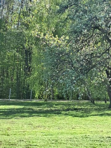 Działka budowlana Bączal Górny, Bączal Górny. Zdjęcie 1