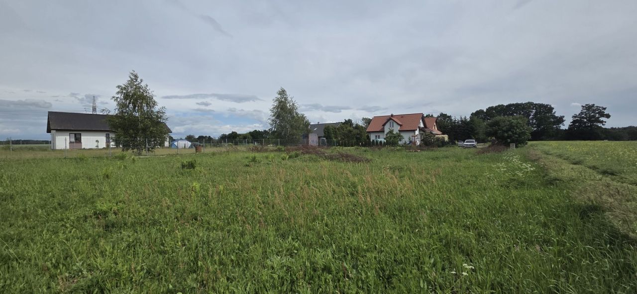Działka rolno-budowlana Przemocze. Zdjęcie 5