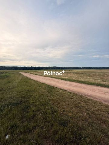 Działka rolna Krzewo. Zdjęcie 15