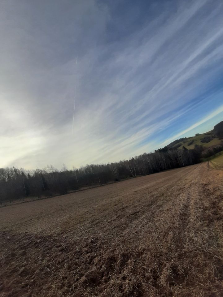 Działka rolna Klecza. Zdjęcie 2