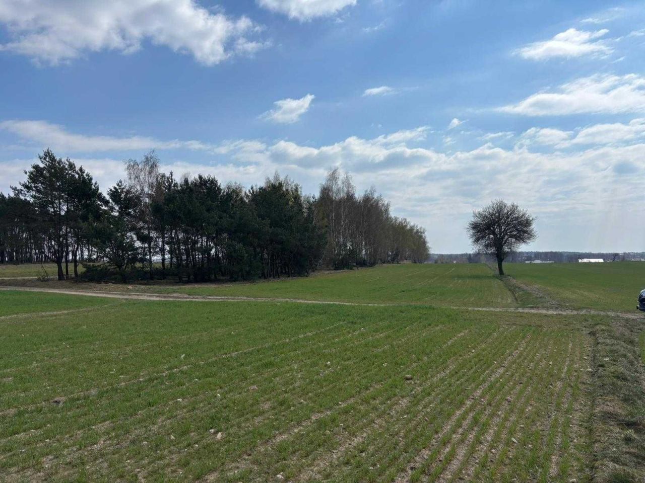 Działka budowlana Kowale Księże. Zdjęcie 4