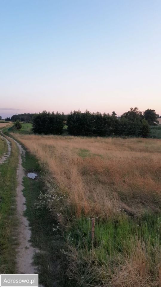 Działka budowlana Magnuszewice. Zdjęcie 6