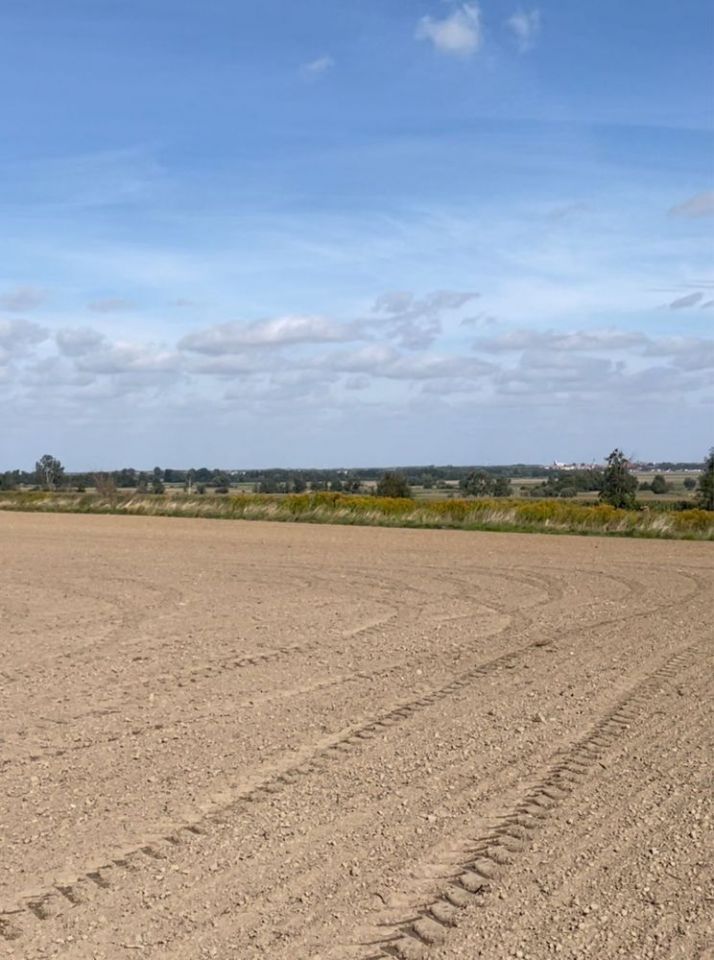 Działka budowlana Paszowice. Zdjęcie 5