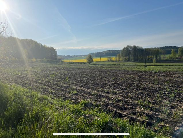 Działka budowlana Białogórze. Zdjęcie 4