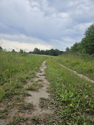 Działka budowlana Brzuze. Zdjęcie 12