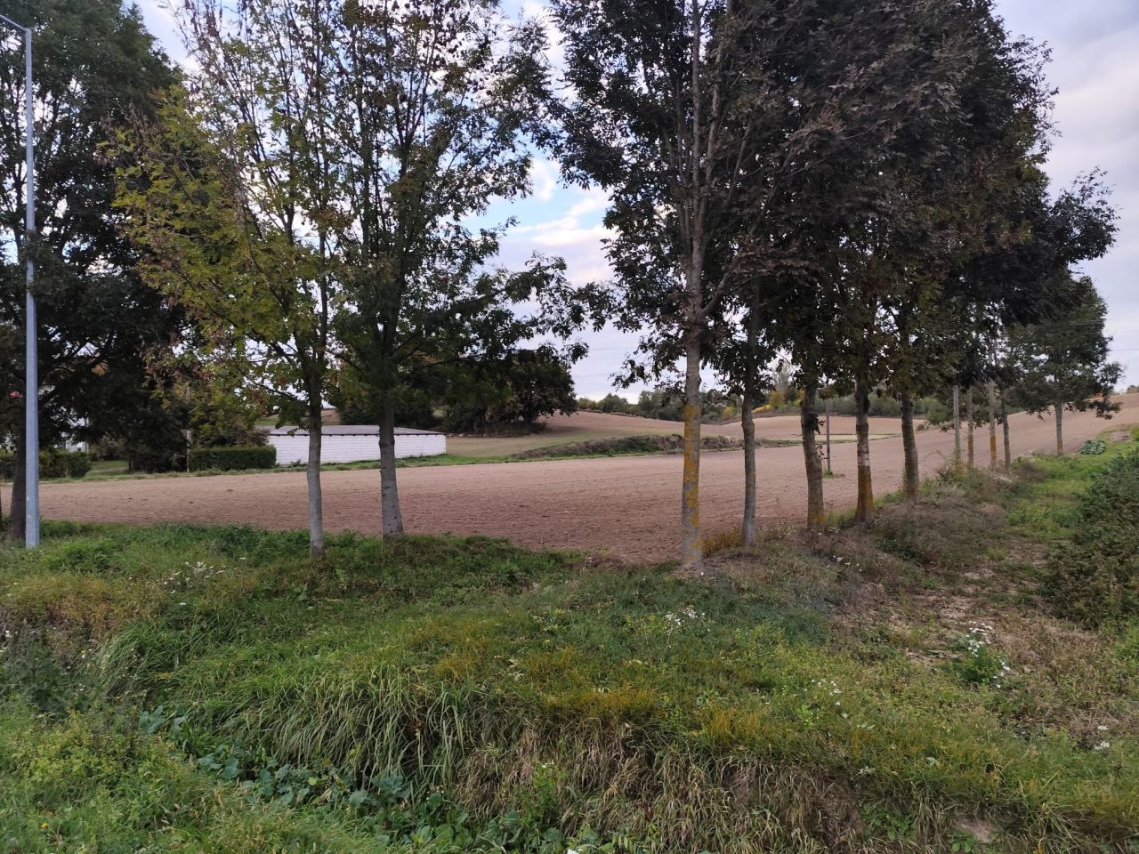 Działka rolno-budowlana Łubcze. Zdjęcie 4