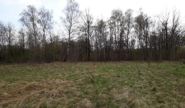 Działka budowlana Siewierz, ul. Kielecka