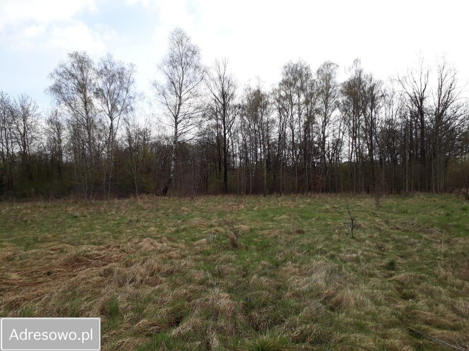 Działka budowlana Siewierz, ul. Kielecka. Zdjęcie 1