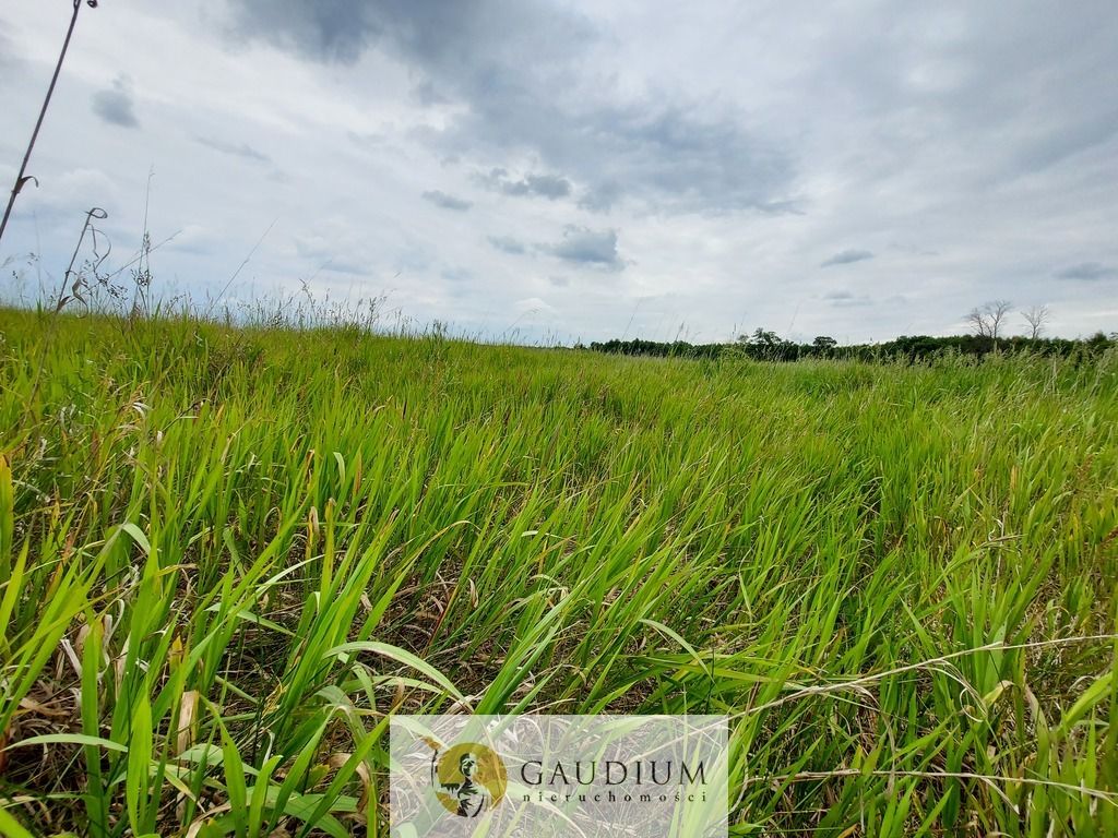 Działka Karszyn. Zdjęcie 18