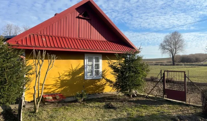 Działka siedliskowa Sosnowa-Dębowa