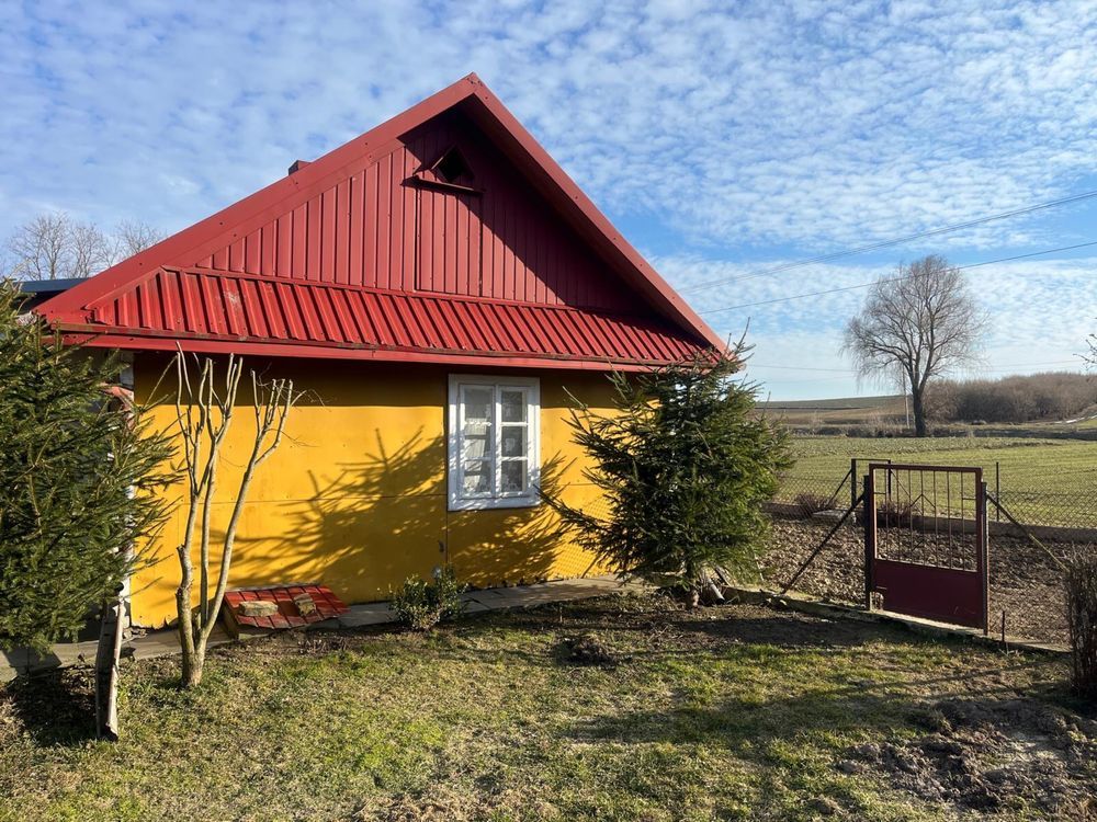 Działka siedliskowa Sosnowa-Dębowa. Zdjęcie 1