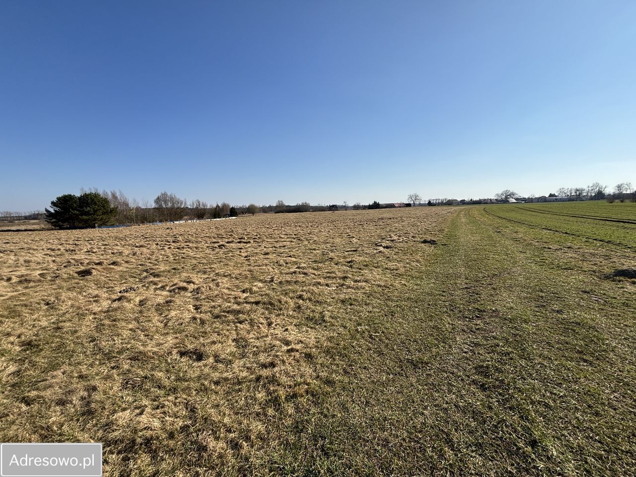 Działka inwestycyjna Modlimowo. Zdjęcie 5